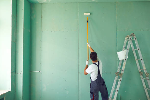 Trusted Whitfield, PA Mold Removal Experts
