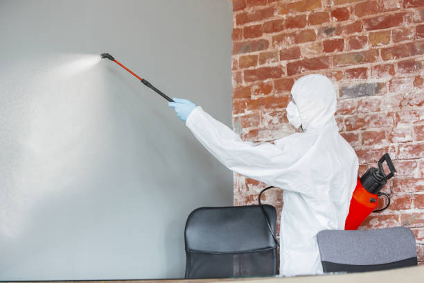 Environmental Consulting for Mold Prevention in Whitfield, PA